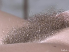 Ass, Hairy, Puffy nipples